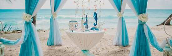 Tropical - Il Girasole Banqueting