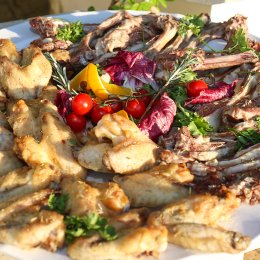 Giardini dell'insugherata