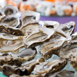 Villa Lago dei Cigni