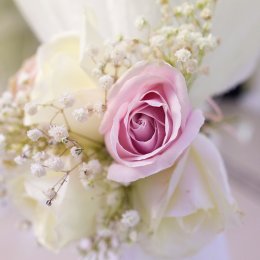 Villa Lago dei Cigni