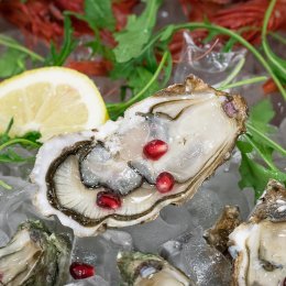 Sheraton Roma Hotel Conference Center